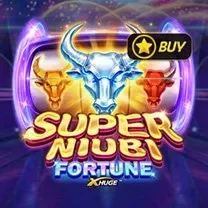 Aplicativo EvolveCasino